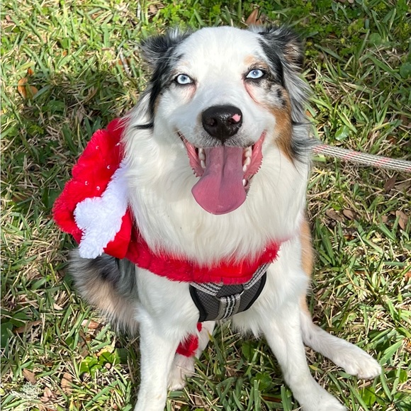 Meet your Posher, Jackie - Picture 1 of 1